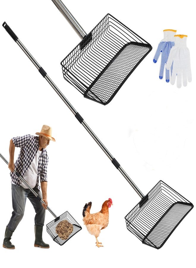 ZINGTERRA 4-in-1 10" Large Chicken Poop Scooper with Gloves,Sifting Shovel Rake,Henhouse Cleaning Tool,Adjustable Long Handle (22.4-62") Litter Scoop,Stainless Steel Poop Shovel for Farm,Goat Stall Accessories - Image 1